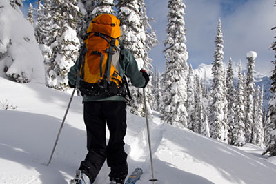 Backcountry skier small